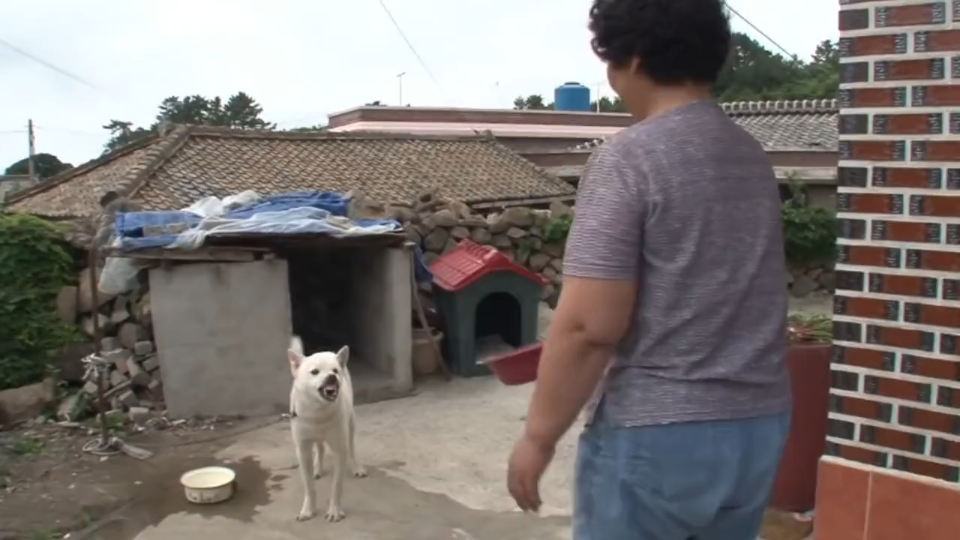 这狗子天生反骨,建议夷灭其三族.哔哩哔哩bilibili