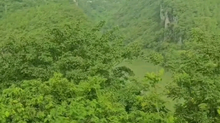 [图]时光总是在不经意间流走，再回首已是而立之年，望着岁岁年年相似的画，想想年年岁岁不同的人，沉默，唯有一句人生苦短…