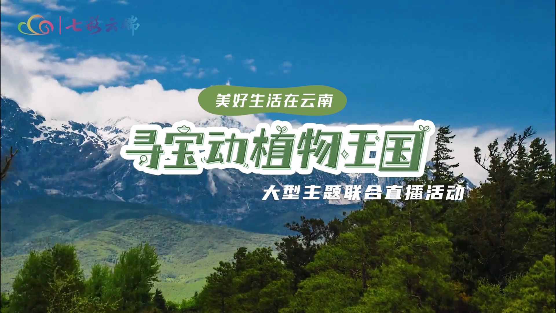 《美好生活在云南·寻宝动植物王国》宣传片