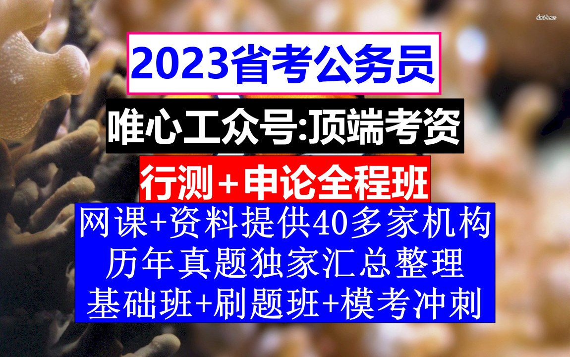 河南省公务员考试,公务员报名时间省考和国考,公务员的考核,重点考核公务员的哔哩哔哩bilibili