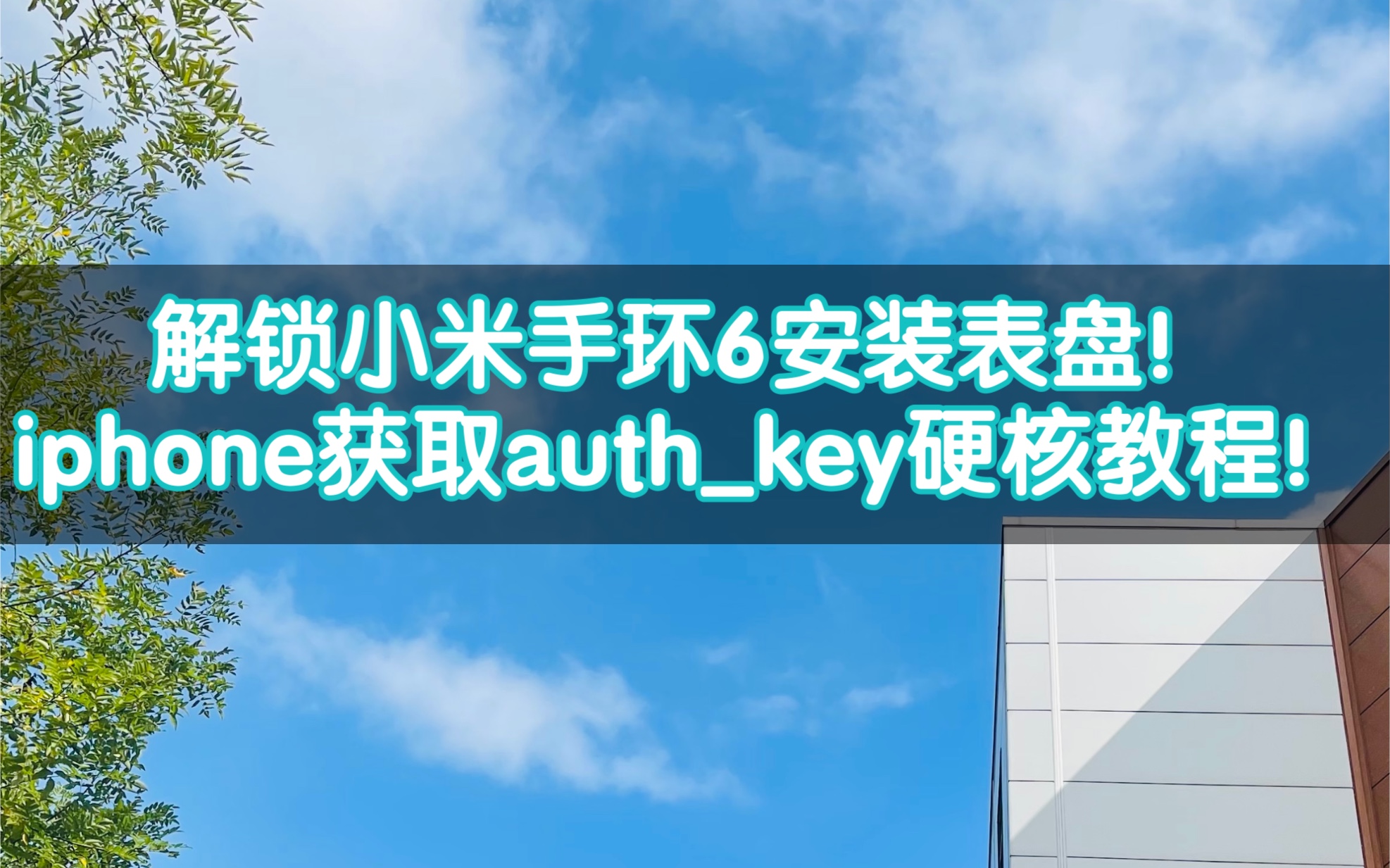 硬核教程!解锁小米手环6表盘!iphone获取小米手环6的authkey教程!自由安装第三方资源!哔哩哔哩bilibili