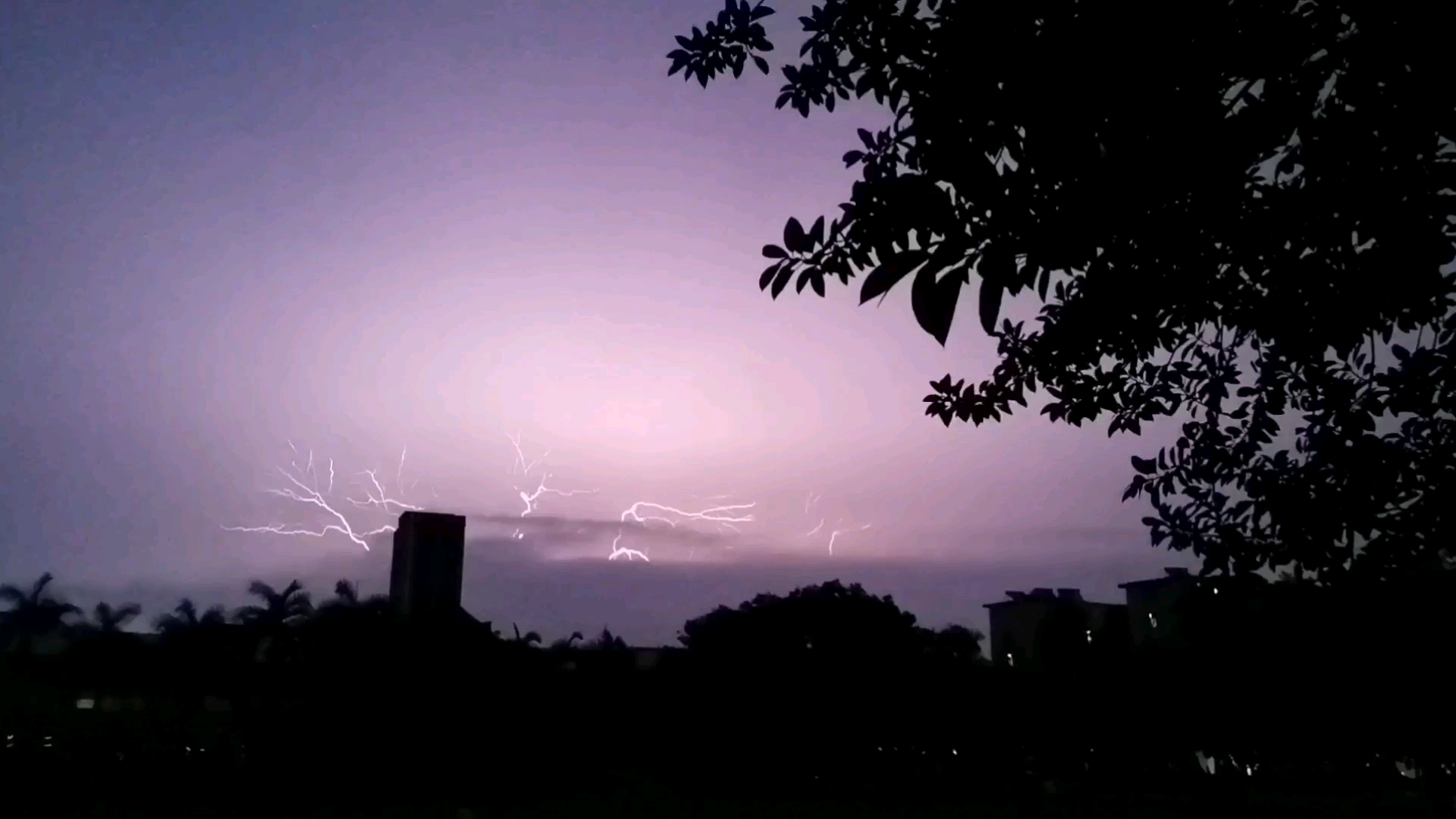 【閃電】夏天是早晨烈陽,午後暴雨,夜晚驚雷