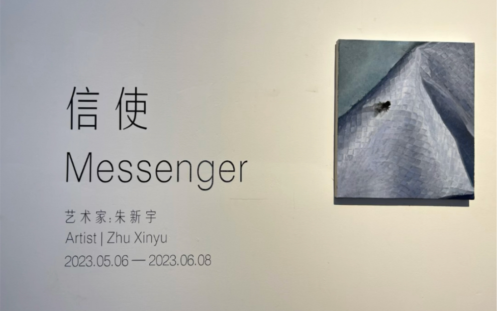 作者画廊新展:艺术家朱新宇个展“信使”哔哩哔哩bilibili