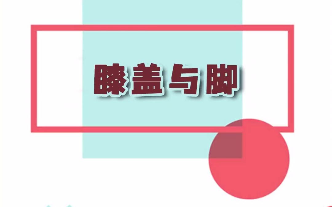 学会了!通过鞋码算身高!哔哩哔哩bilibili