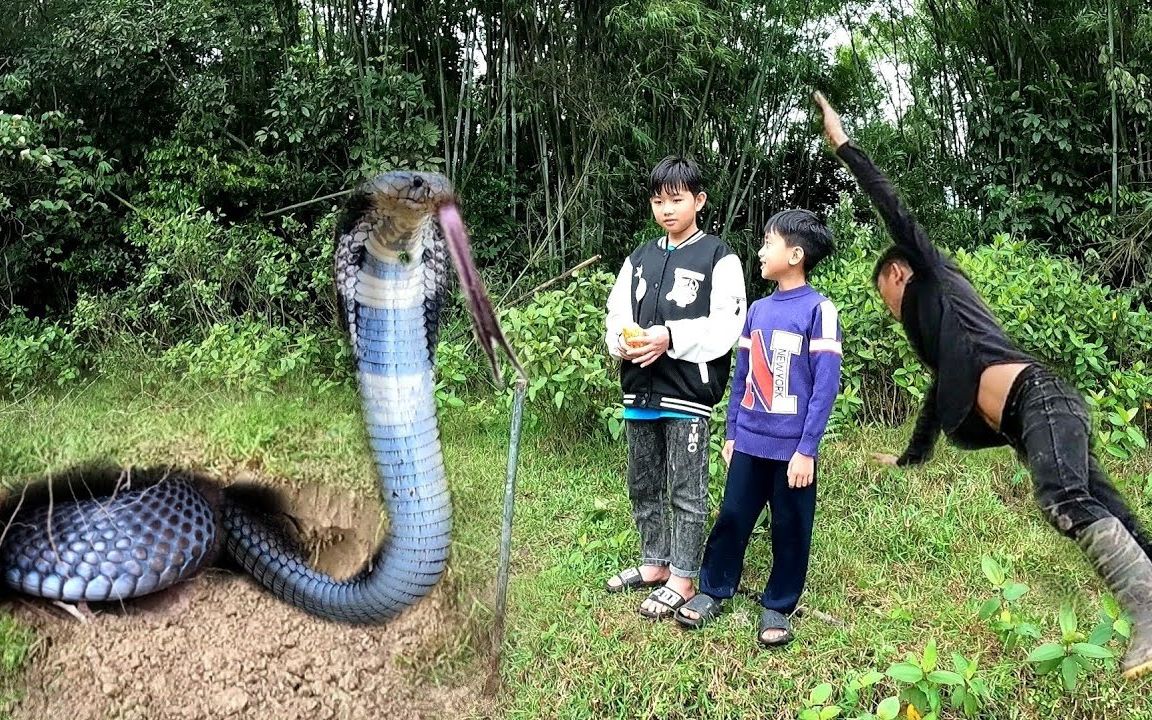 [图]蛇患祸害庄稼 民不聊生 除之