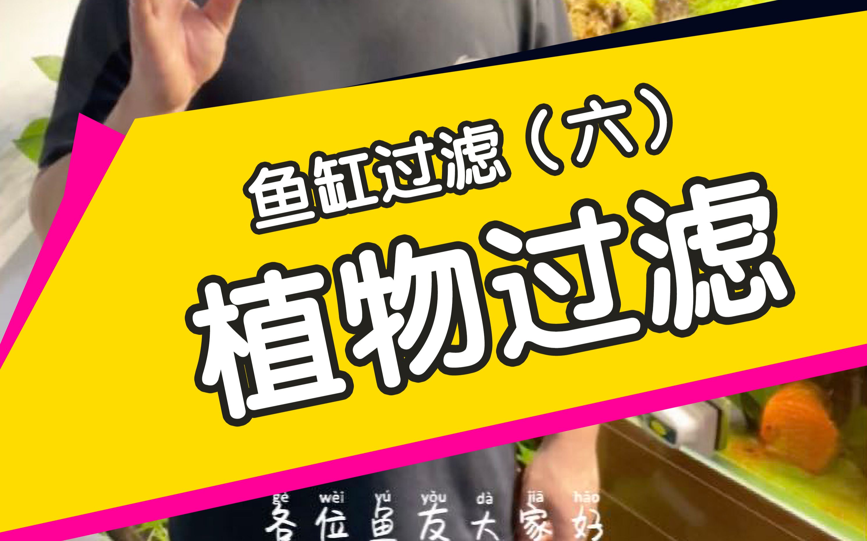 水族观赏鱼热带鱼原生鱼缸造景水陆缸鱼缸过滤系统介绍——植物过滤(生态过滤)哔哩哔哩bilibili