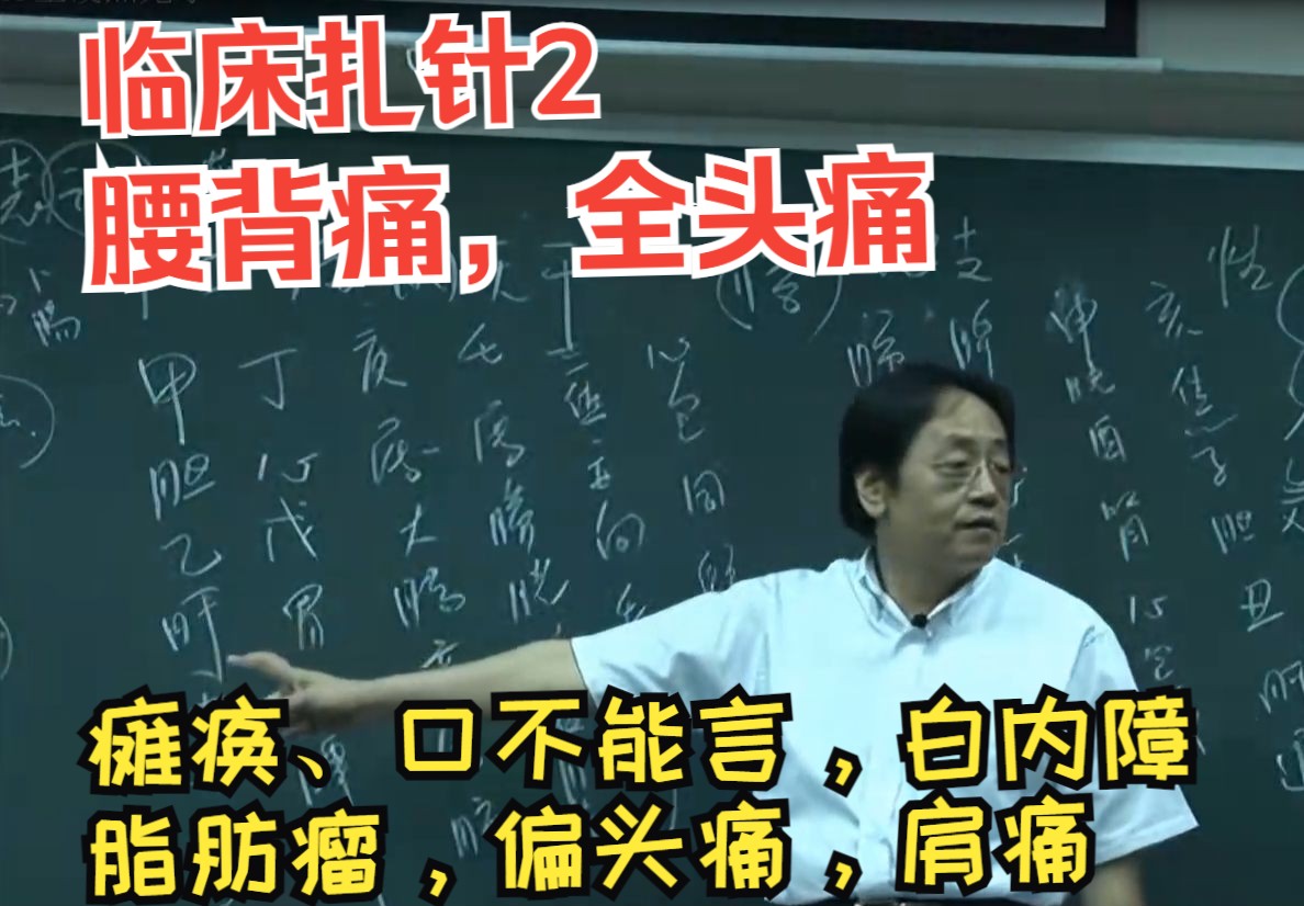 倪海厦《针灸大成》第四十集-完整版