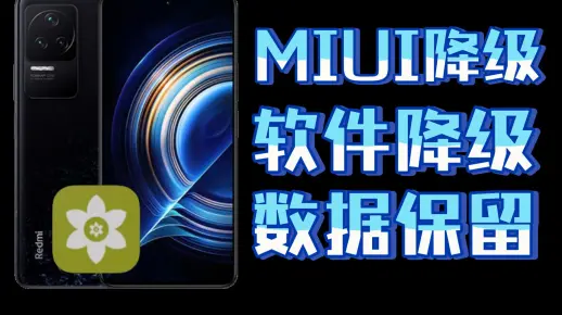 【安装狮】系统/第三方软件降级保姆级教程，保留数据，无损恢复旧版本，更新通用