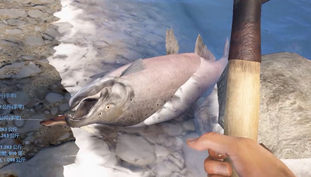 【俄罗斯钓鱼】又又又又是一条星大鳞马哈鱼