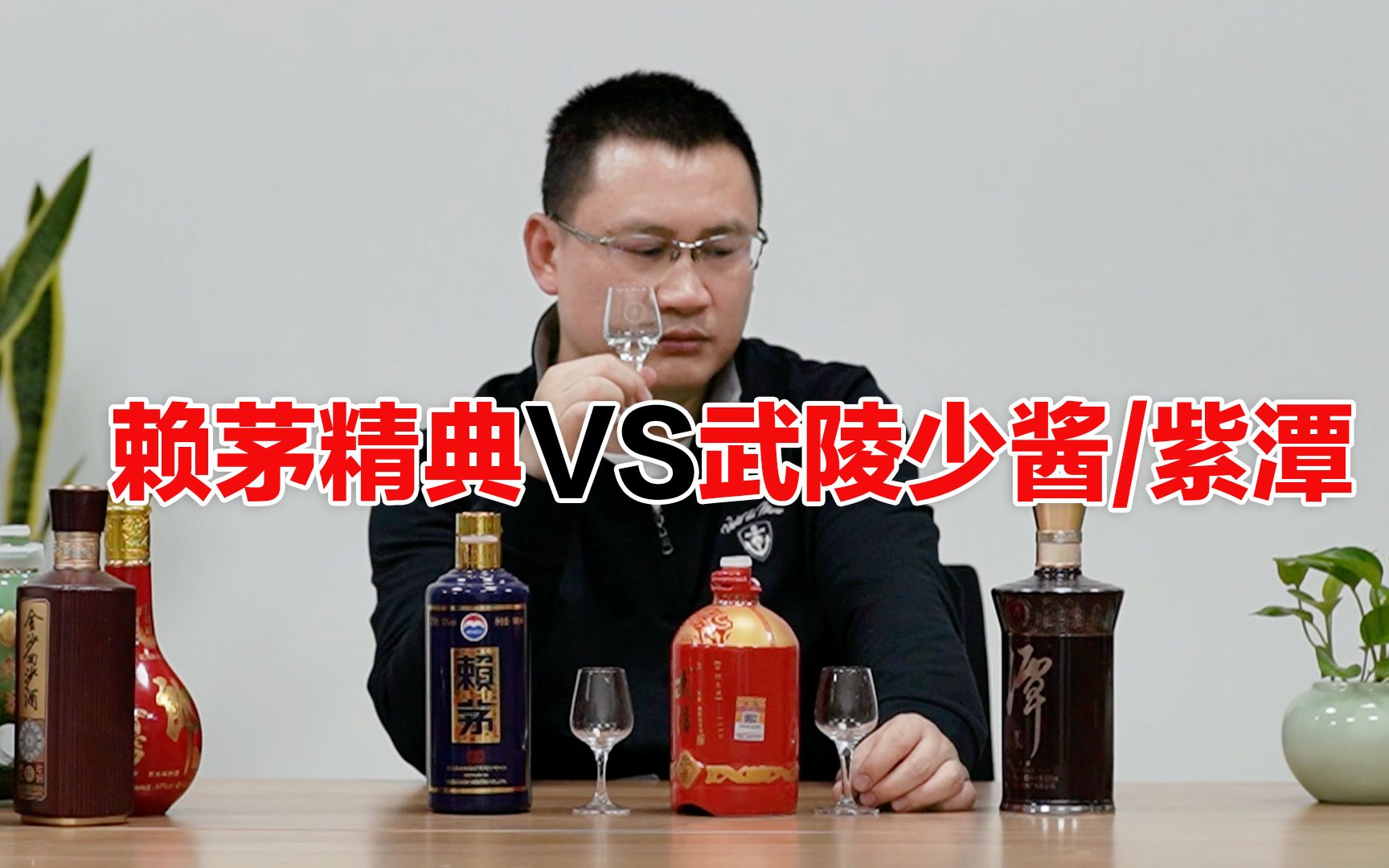 赖茅精典VS武陵少酱/潭酒紫坛,3种不同风格的品鉴哔哩哔哩bilibili