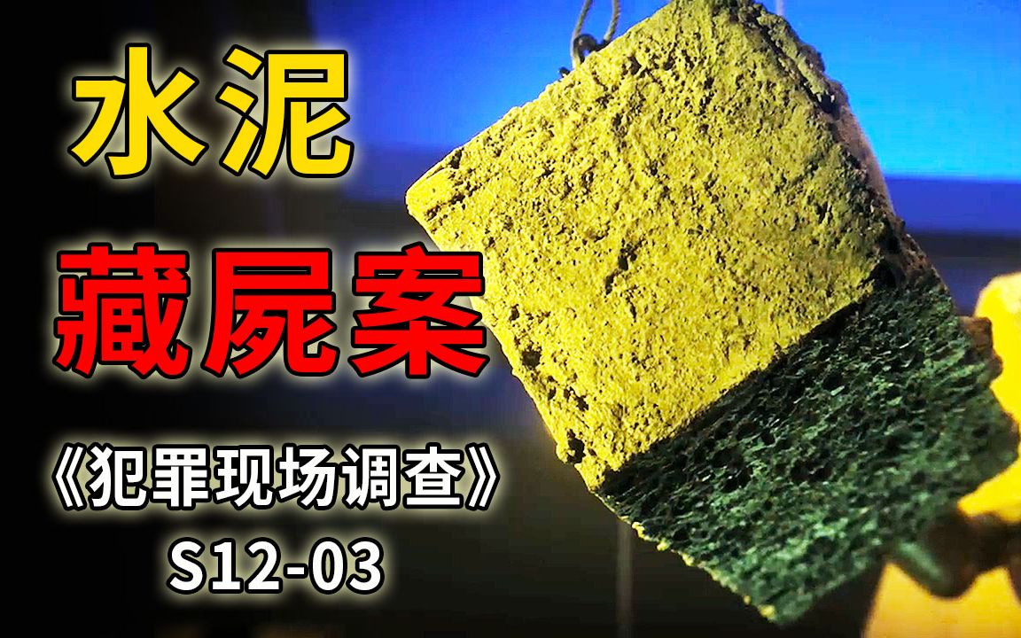 艺术品渗出恶臭尸液,年轻姑娘被切成多块封进水泥《CSI》S1203哔哩哔哩bilibili