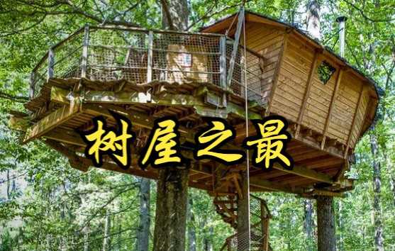 [图]【美国】【纪录片】千奇百怪树屋之最 The most strange tree house