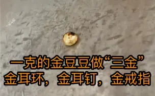 Descargar video: 一克金豆豆做三金，安排上，看看能不能做成