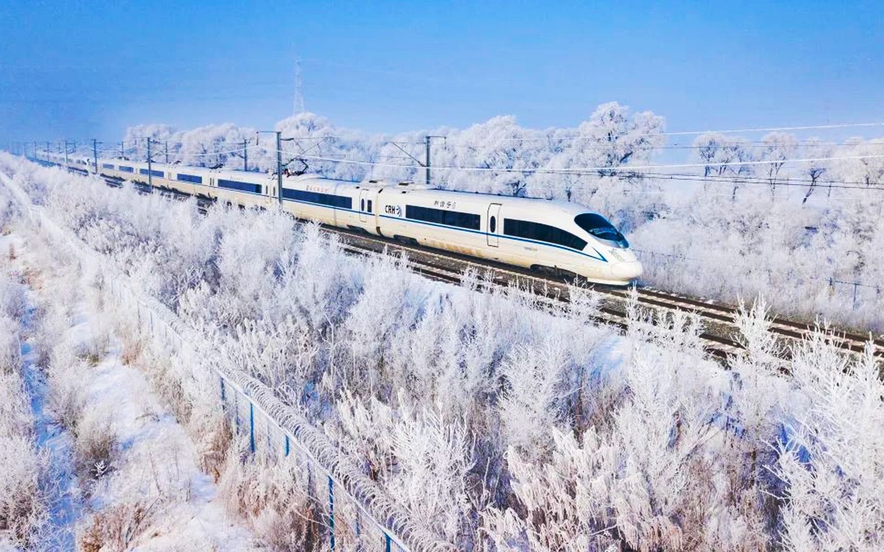 [图]松花江畔再现雾凇景观 银白色高铁在林海冰花中驶过如穿越“仙境”