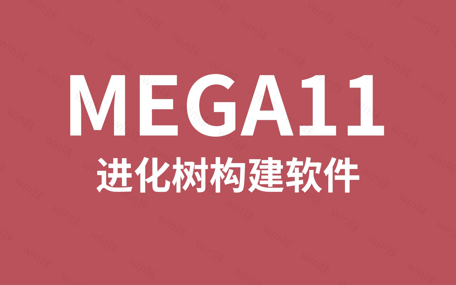 mega11进化树制作构建美化软件数据处理哔哩哔哩bilibili