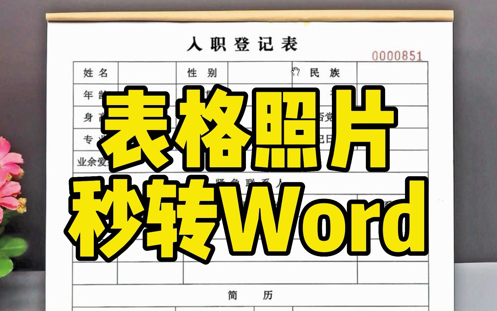 表格照片图片,如何快速转为Word表格?哔哩哔哩bilibili