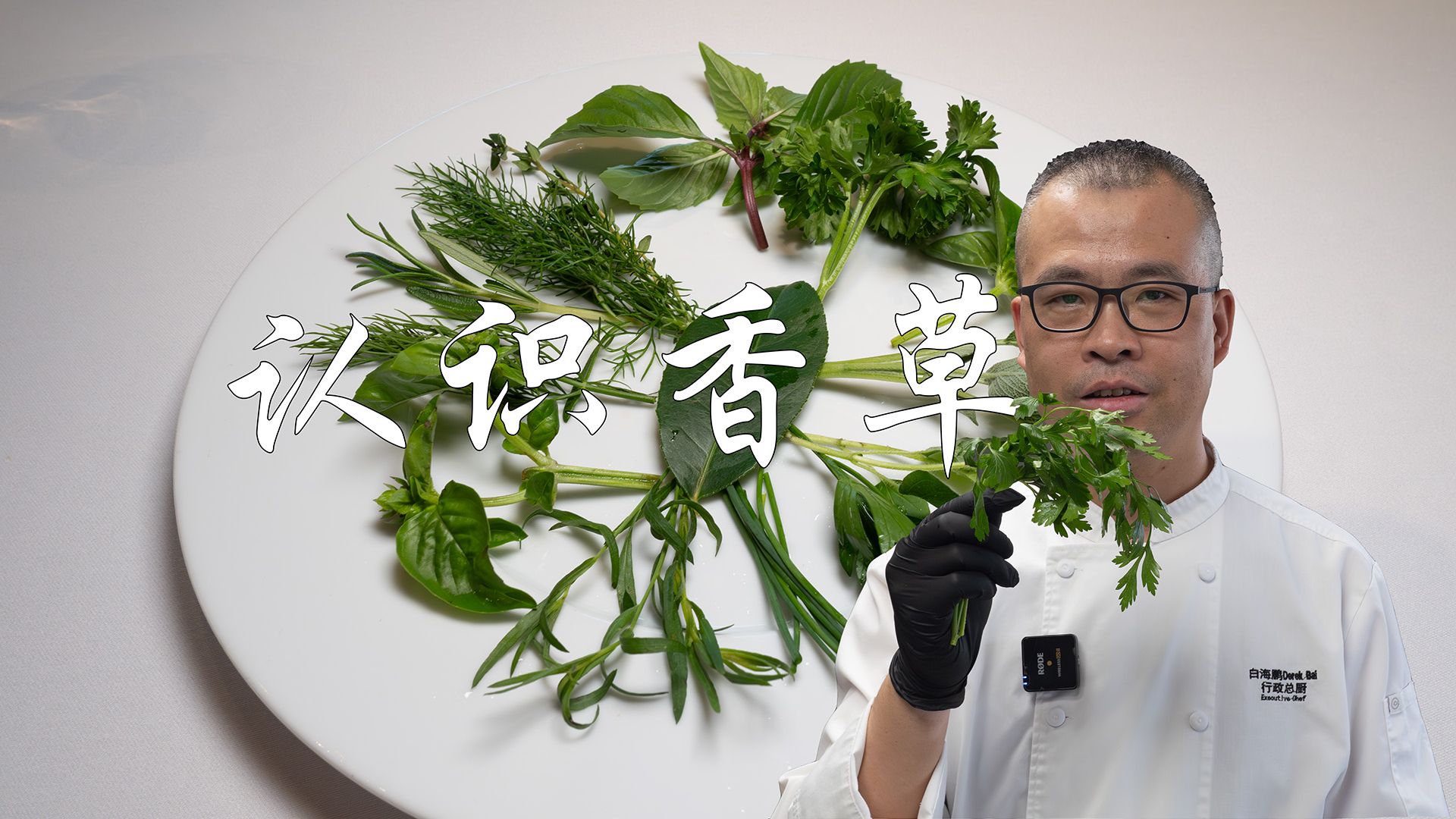 一个视频带你认识西餐全部常用香草【老白课堂】