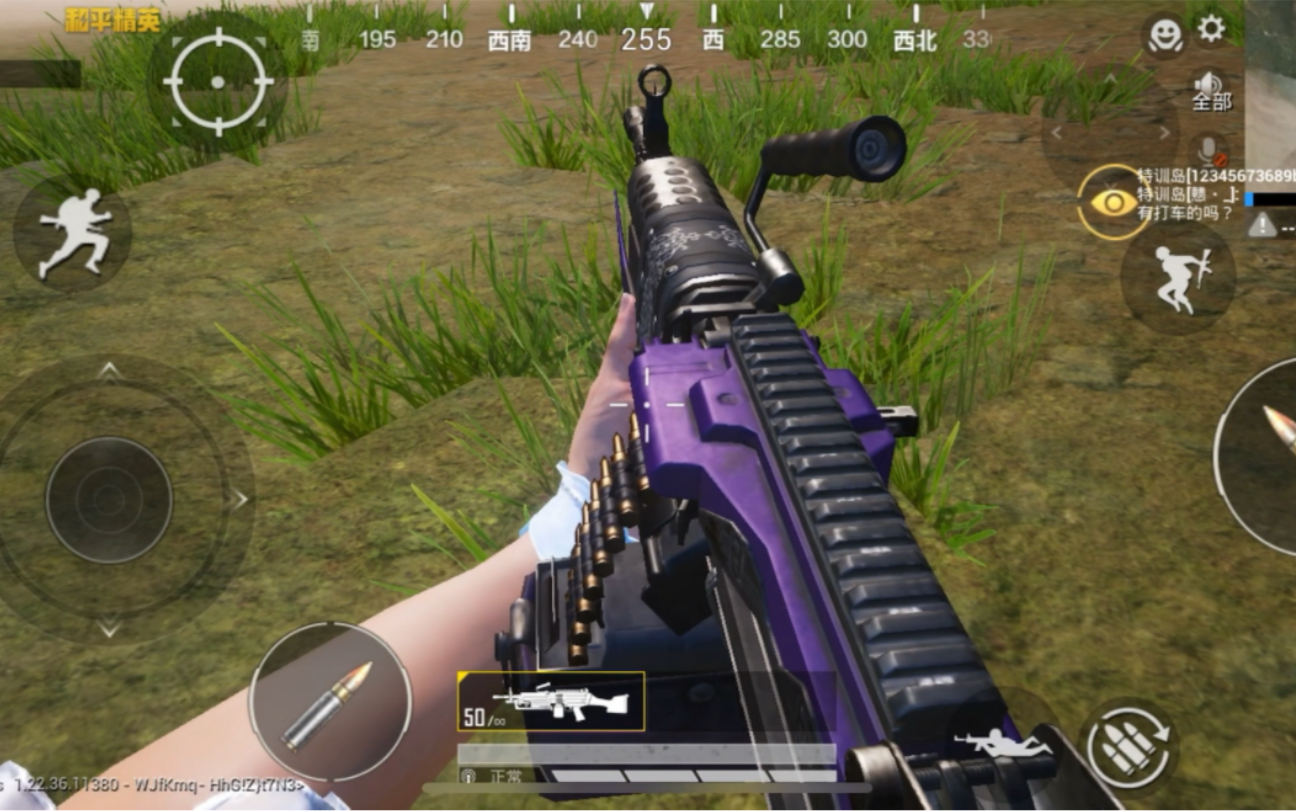 和平精英 m249 古堡领主 轻机枪 皮肤