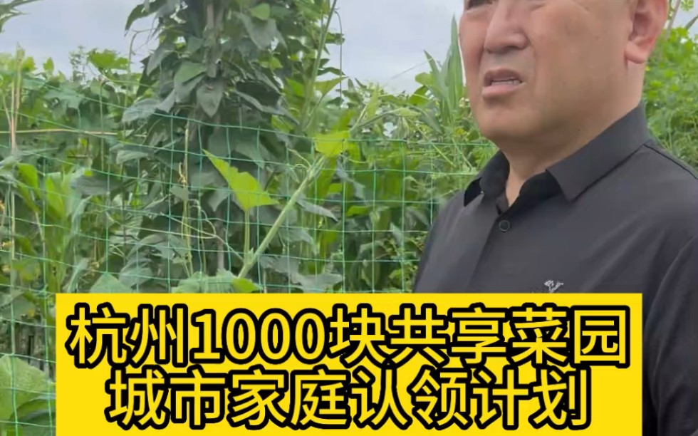 杭州1000块共享菜园城市家庭认领计划!哔哩哔哩bilibili