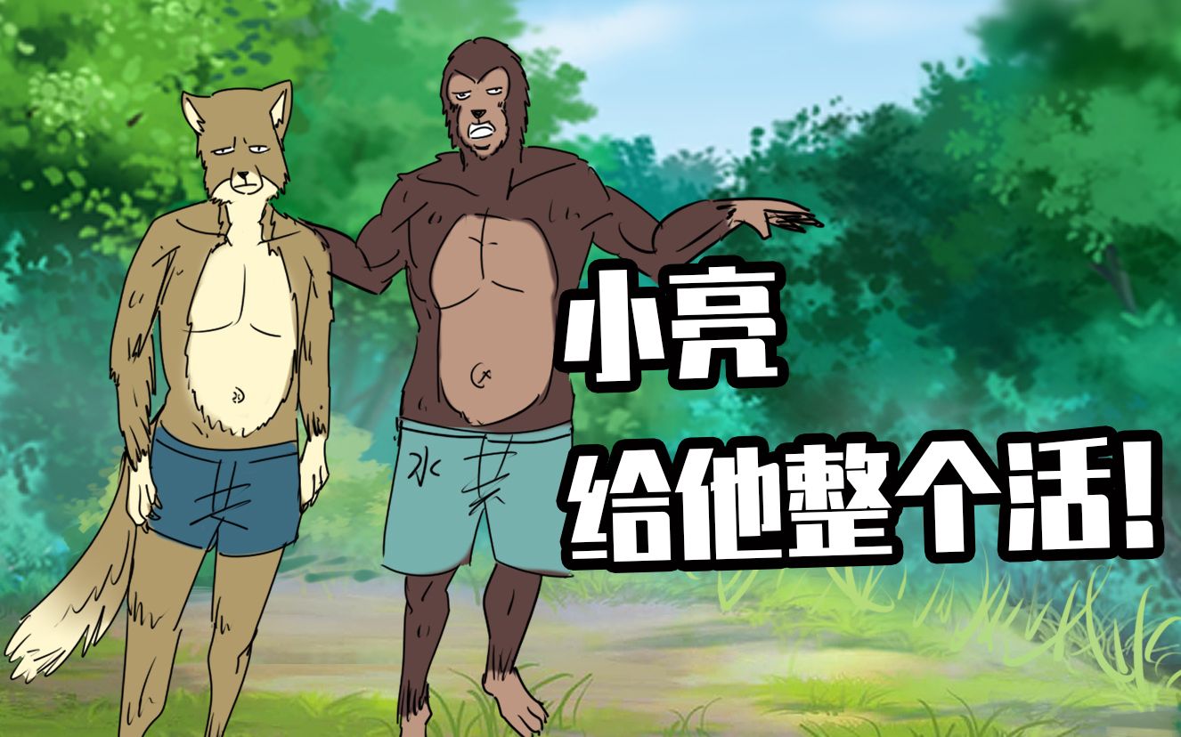 活动  藏狐与水猴子