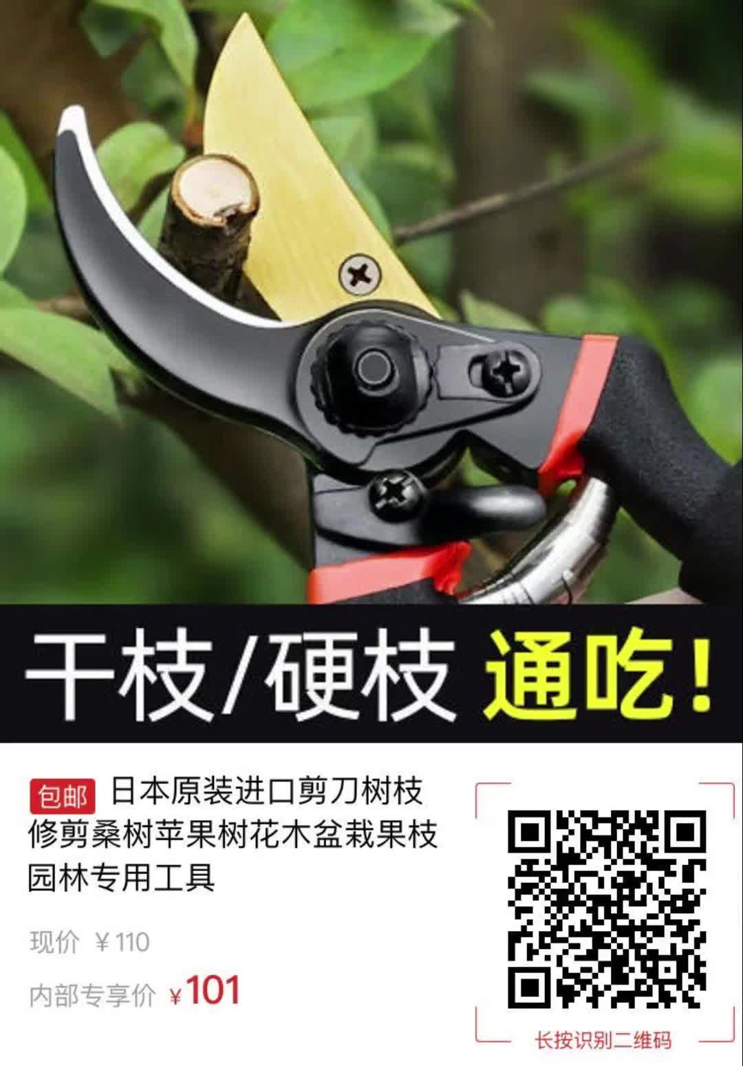 日本原装进口剪刀树枝修剪桑树苹果树花木盆栽果枝园林专用工具3640