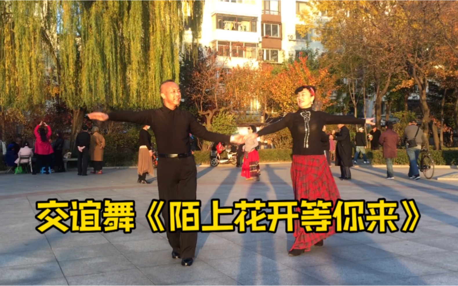 [图]广场交谊舞帕斯《陌上花开等你来》