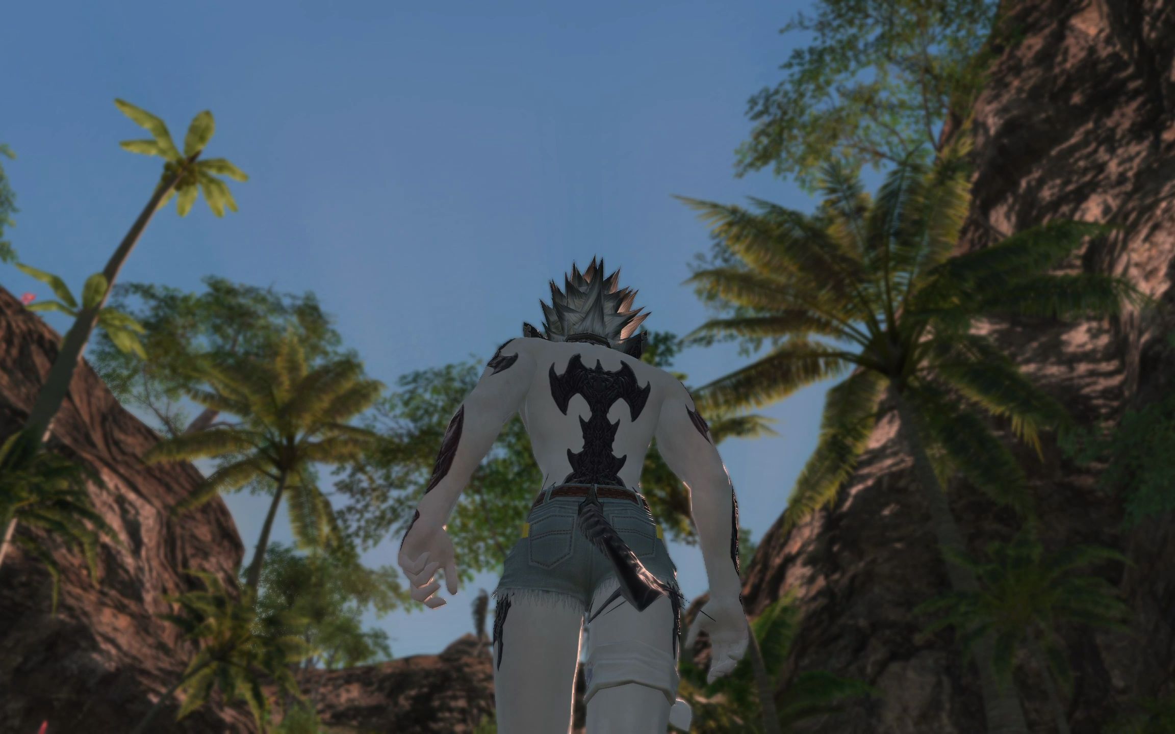 【ff14】龍男無人島走路