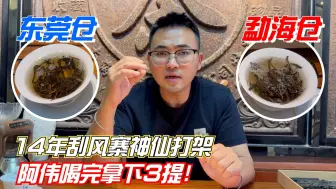 Download Video: 东莞仓、勐海仓哪个好？14年刮风寨神仙打架，阿伟喝完拿下3提！