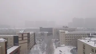 银白色的工大
