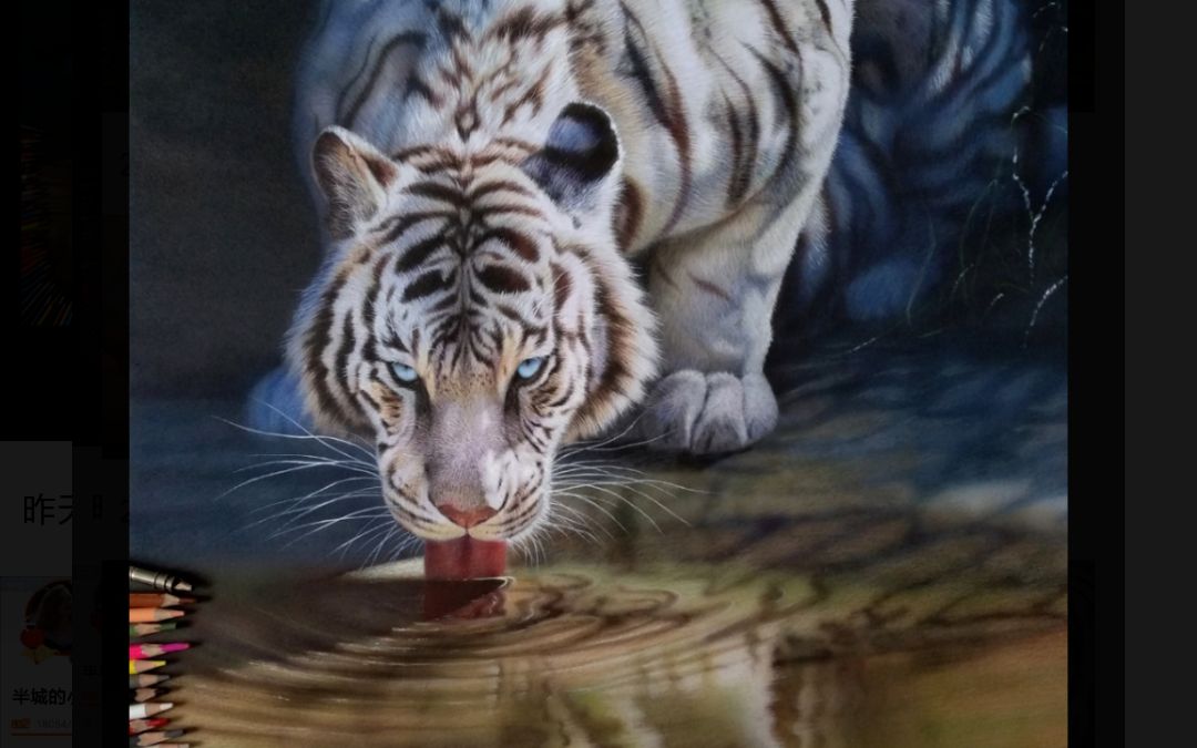 老虎喝水霸气图片图片