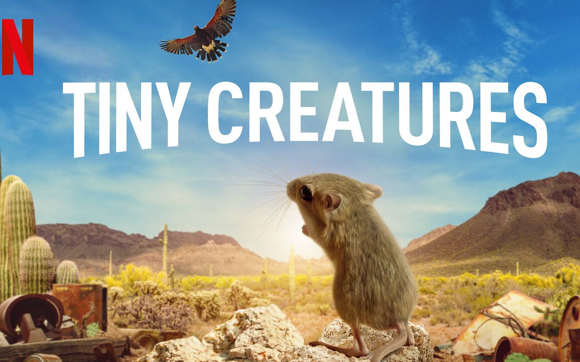 [图][英语中字][Netflix纪录片]微观世界 Tiny Creatures (2020)