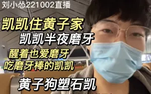 Download Video: 【弘叶题石】凯凯去黄子家住？小狗凯凯磨牙吃磨牙棒【怂哥1002直播】