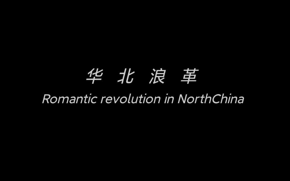 华北浪革废柴节选