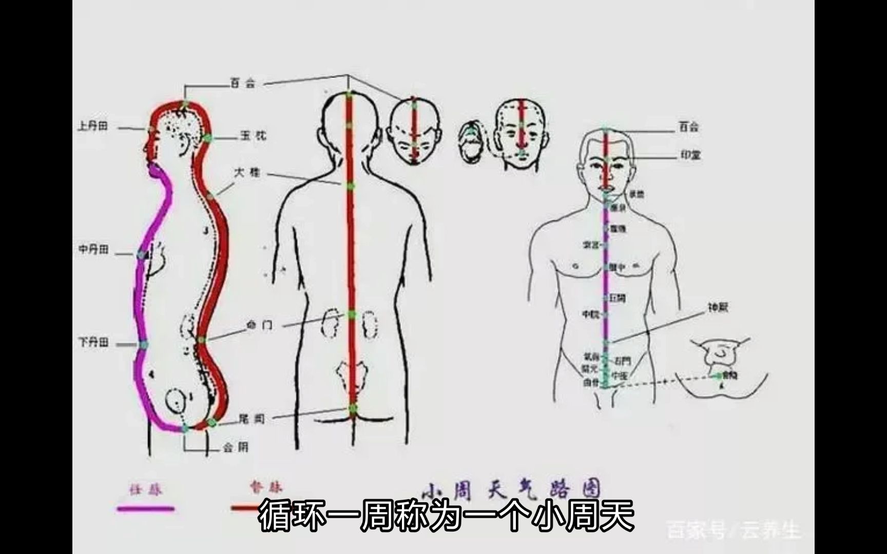 关于先天八卦对内丹导引的启发