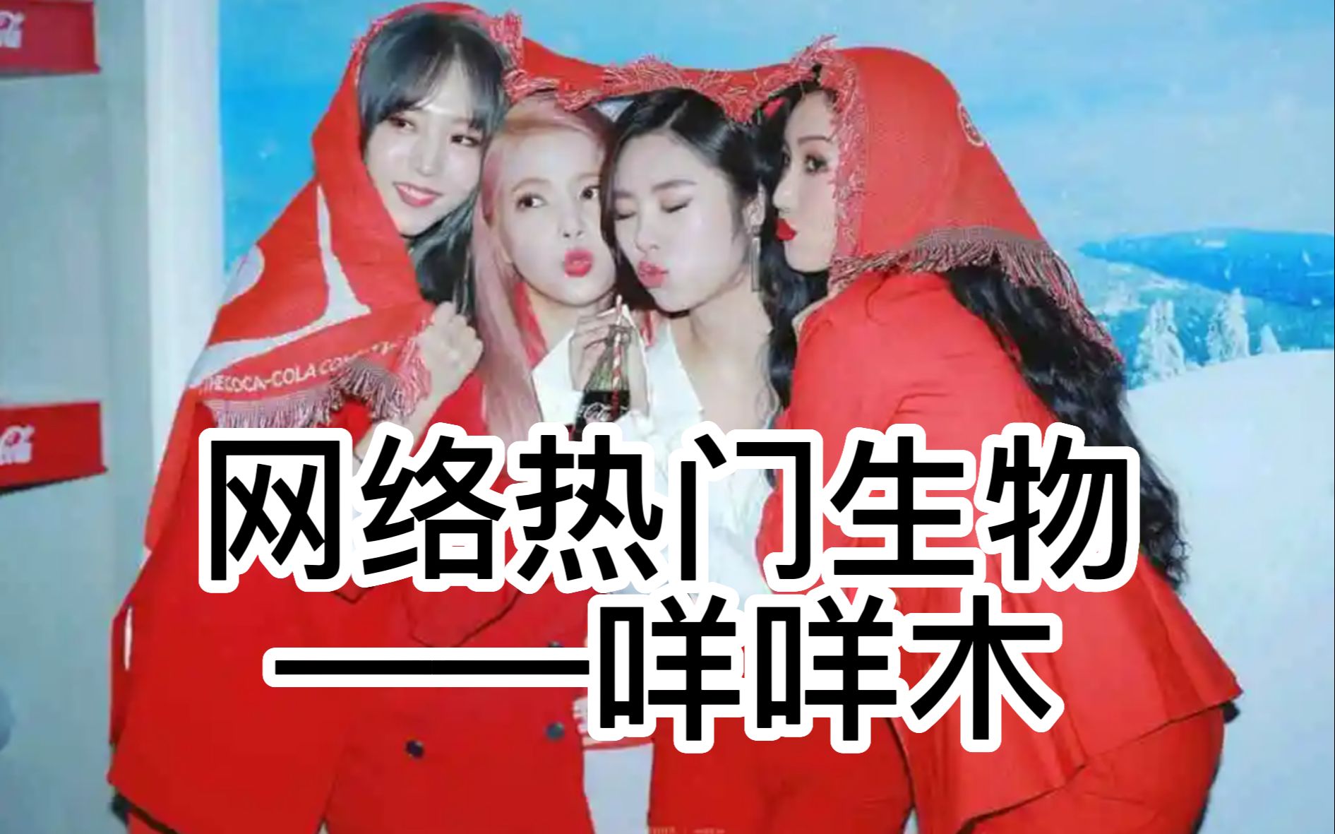 【mamamoo/妈妈木】鉴定网络热门生物“咩咩木”哔哩哔哩bilibili