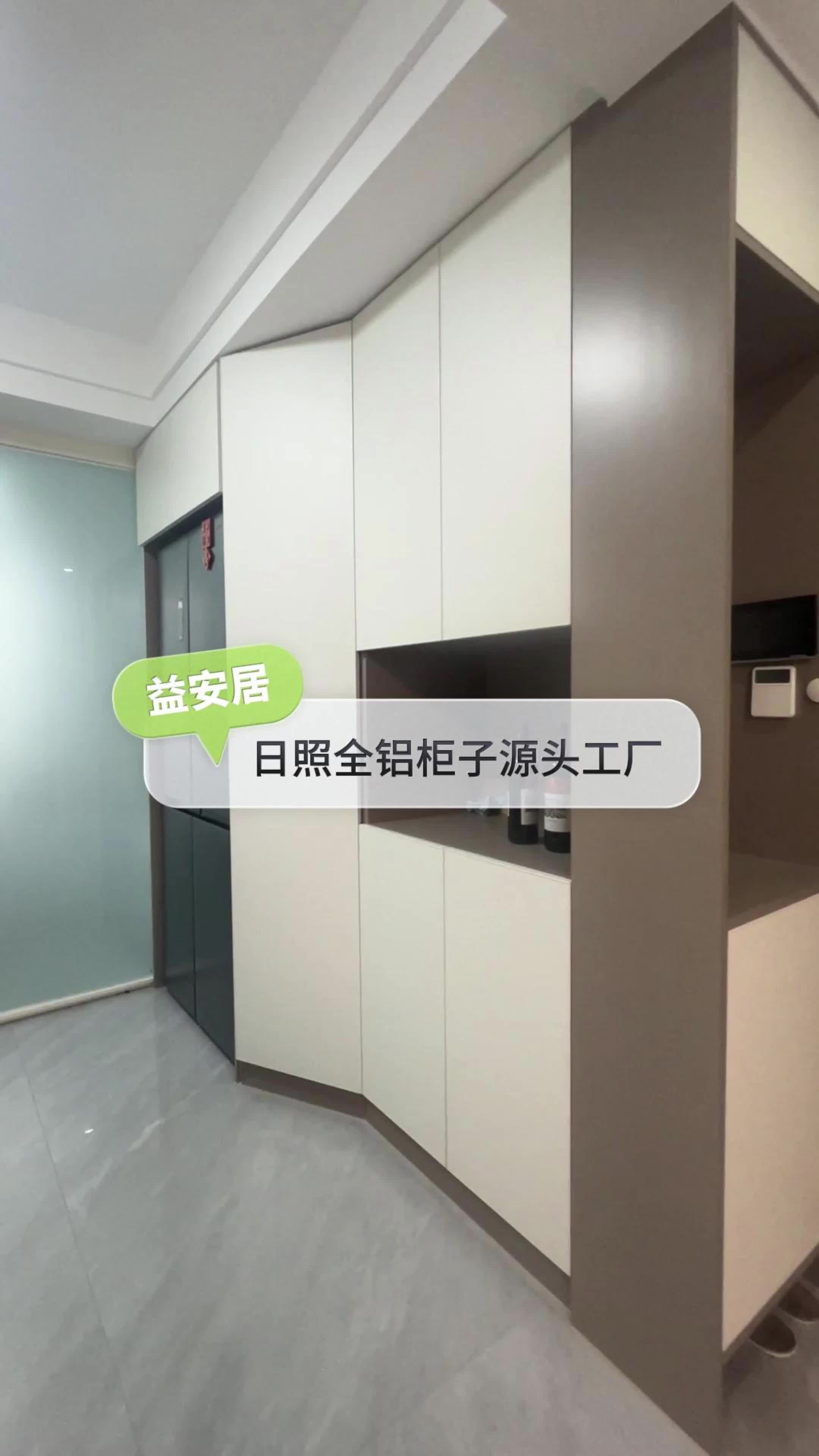 全铝柜子环保无甲醛,特别适合着急搬家,或者是家里有小孩的朋友们用