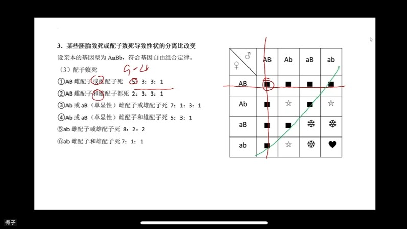 遗传图解棋盘图片