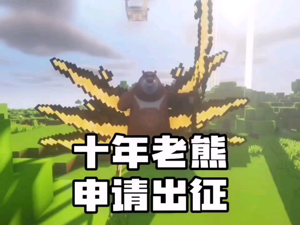 十年老熊申请出征!