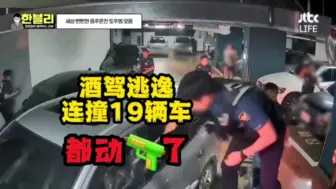 Download Video: 酒驾逃逸亡命徒 韩国警察抓他连枪都用上了｜韩文哲的黑匣子 圭贤 中字