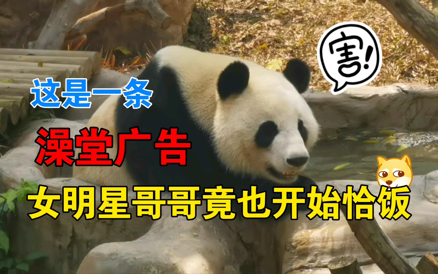 绩美!你怎么开始赶通告了!