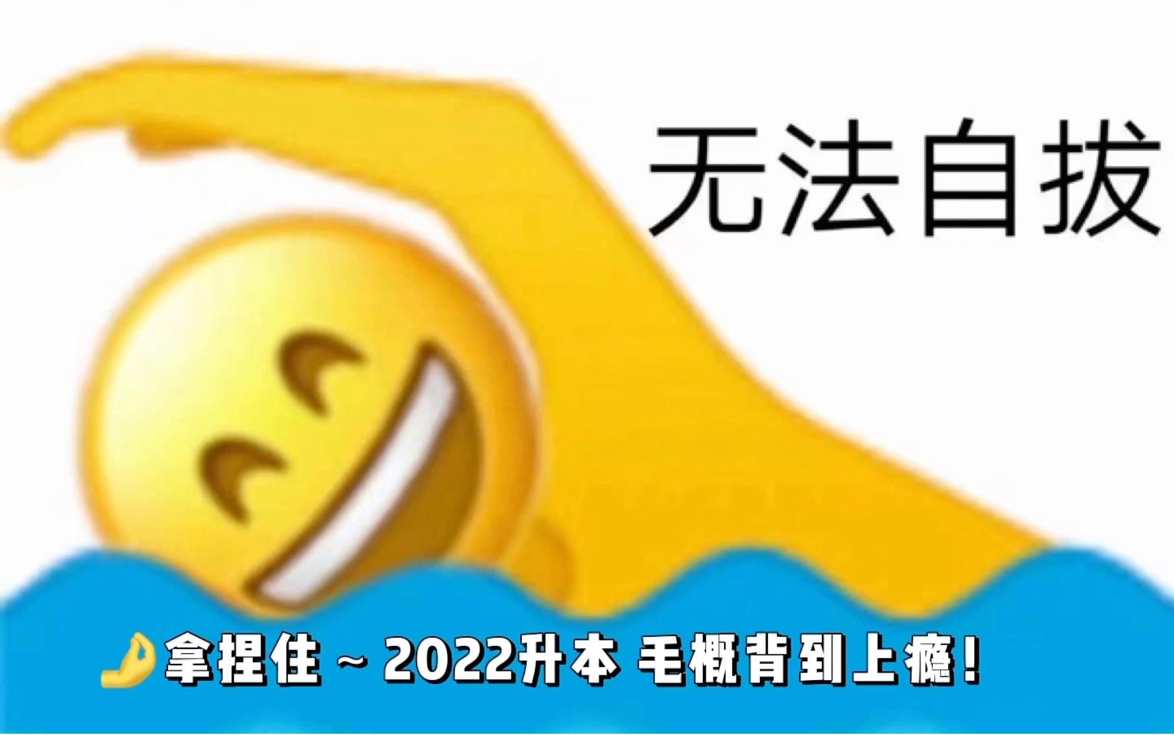 2022升本 毛概背背背哔哩哔哩bilibili