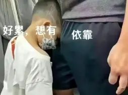 Download Video: 有两个男人爱我，一个是狗，另一个也是狗。