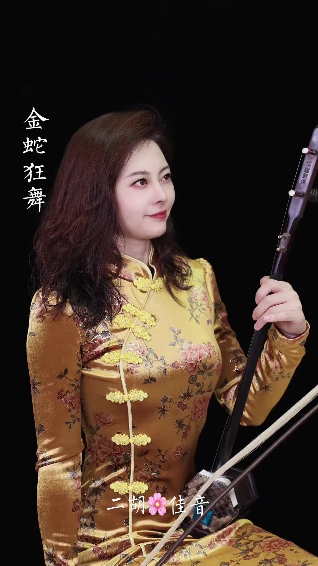 二胡演奏视频 一首极具中国浓郁特色的民族管弦乐曲《金蛇狂舞》~ 二胡 传统文化 国风古韵 金蛇狂舞 旗袍 炙热计划 经典老歌哔哩哔哩bilibili