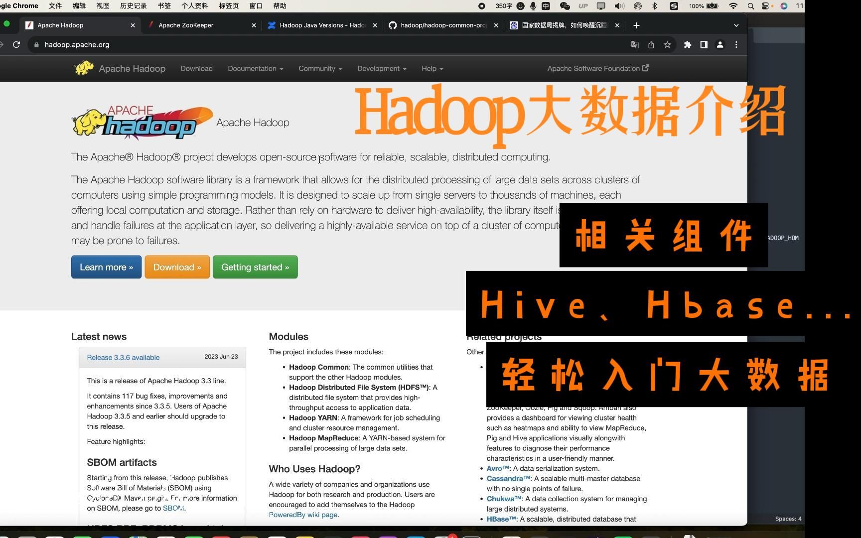 大数据平台Hadoop介绍以及相关生态组件哔哩哔哩bilibili