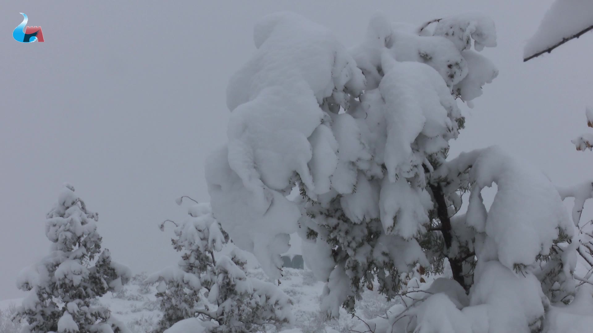 [图]云飞央金演唱《我从雪山来》，唱山唱水的一首好听的歌，值得一听