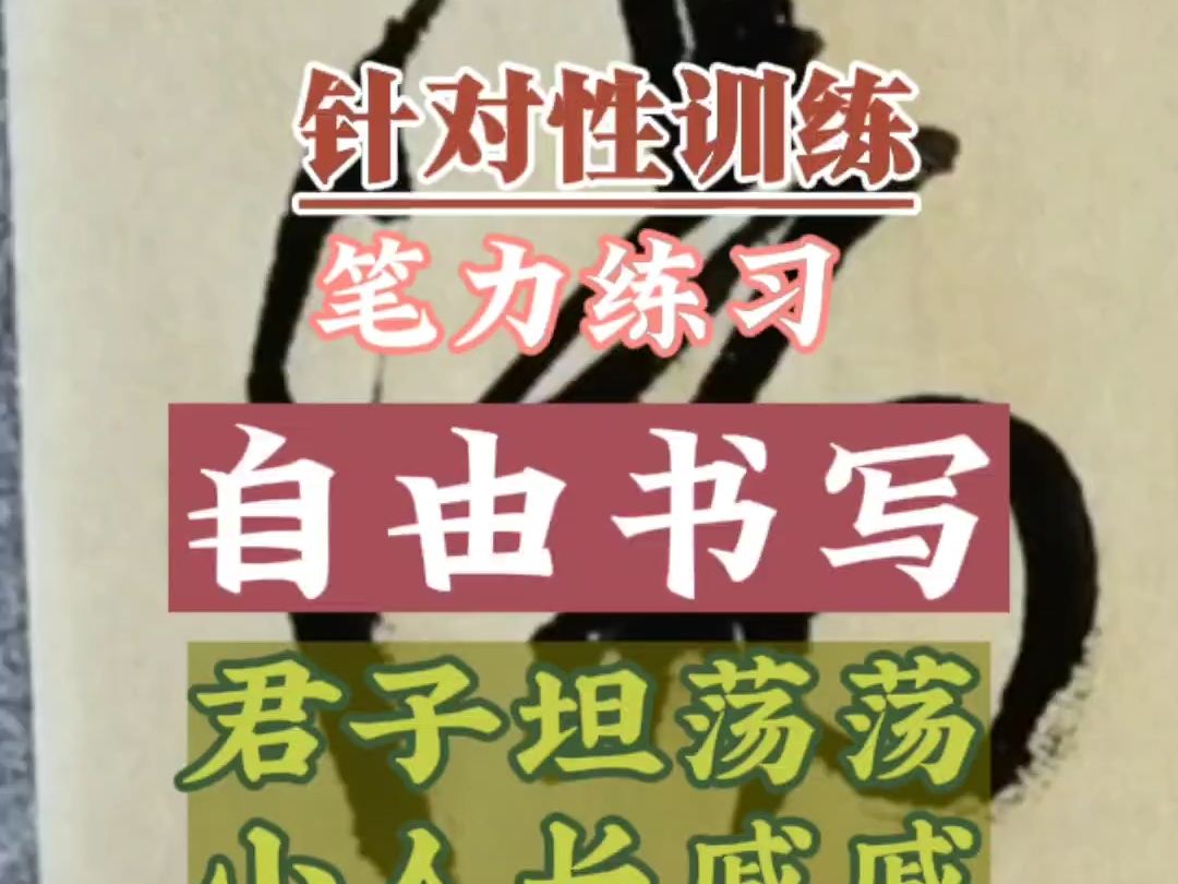 今日笔力练习: ＂君子坦荡荡＂哔哩哔哩bilibili