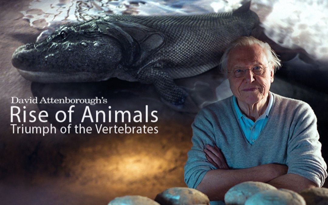 [图]动物的崛起：脊椎动物的胜利 David Attenborough's Rise of Animals: Triumph of the Vertebrates