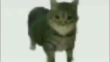 Oiiaioooooiai循环十小时
