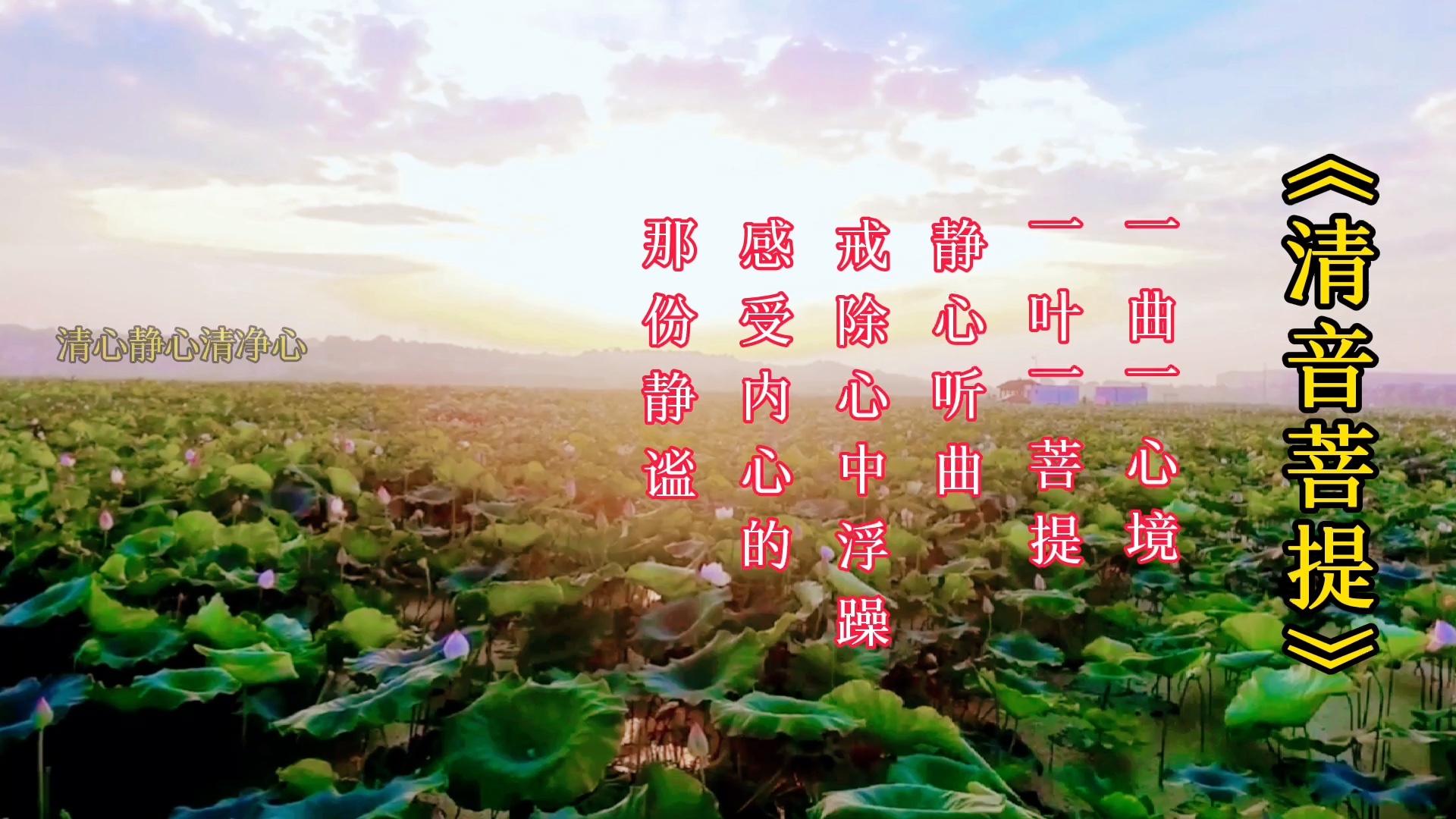 [图]《清音菩提》一曲一心境，一叶一菩提，静心听曲戒除心中浮躁，感受内心的那份静谧