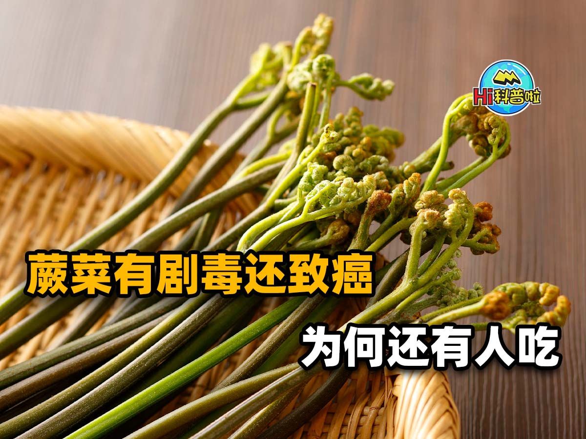 “山菜之王”蕨菜,含有剧毒致癌物质?为何人们吃了上千年没事?哔哩哔哩bilibili